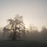 Misty Nonsuch Park